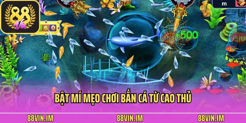 Bật mí mẹo chơi bắn cá từ cao thủ