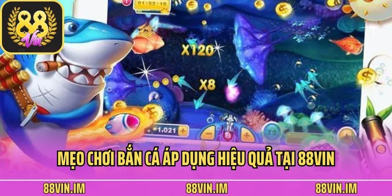 Mẹo chơi bắn cá áp dụng hiệu quả tại 88Vin